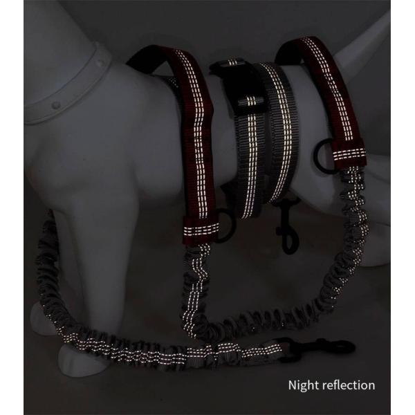 Pet Belt Elastic Night Reflective Silk Drawstring Traction Rope Outdoor Running Hands Free Dog Leash