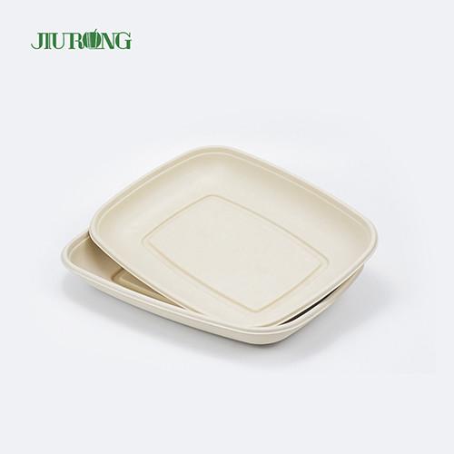 Eco Friendly Compostable Food Tray Sushi Biodegradable Sugarcane Plate