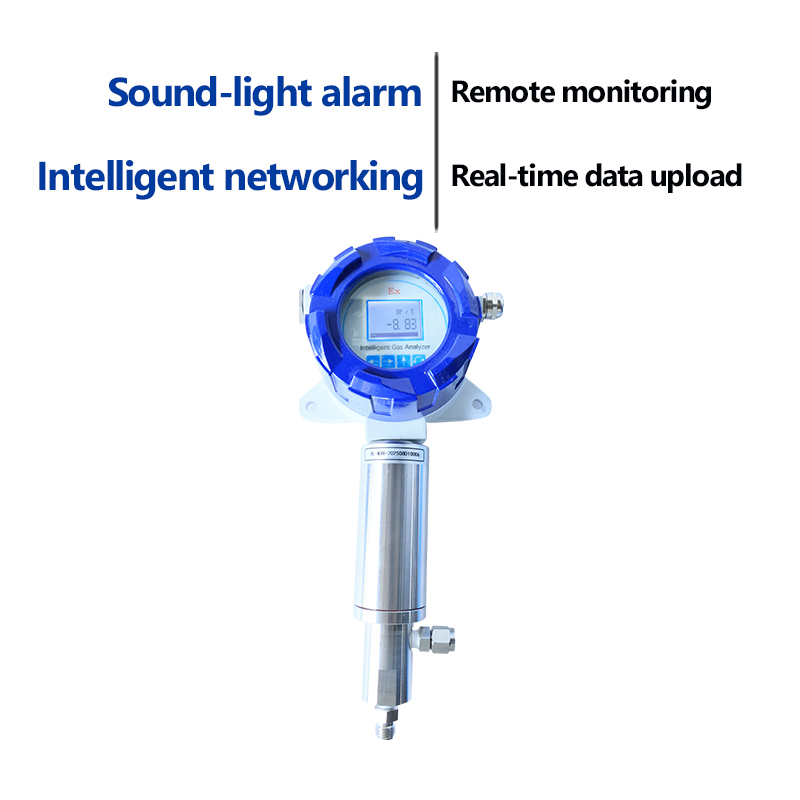 High Precision Trace Moisture Analyzer Multi Gas Dew Point Monitor Detector