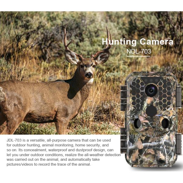 4k Ip65 Waterproof Night Vision Wildlife Camera 30fps Outdoor 60M 38PC IR LED