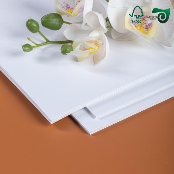 High Printability Double Sided Coated Glossy Cover Paper 460mm 650mm FSC