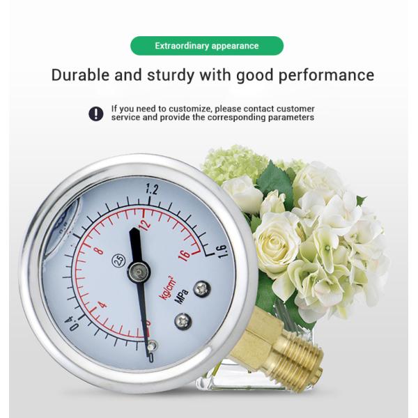 304ss Shell Brass Connection 50mm Oil Filling Water Gas Liquid Pressure Gauge for OEM