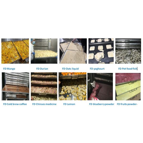 81kw Fruits Vegetable Integral Vacuum Freeze Dryer