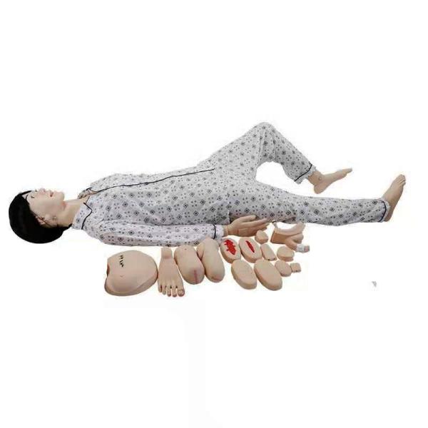 Gender-Specific Genital Mannequin for Medical Science Training Caregiver Edition