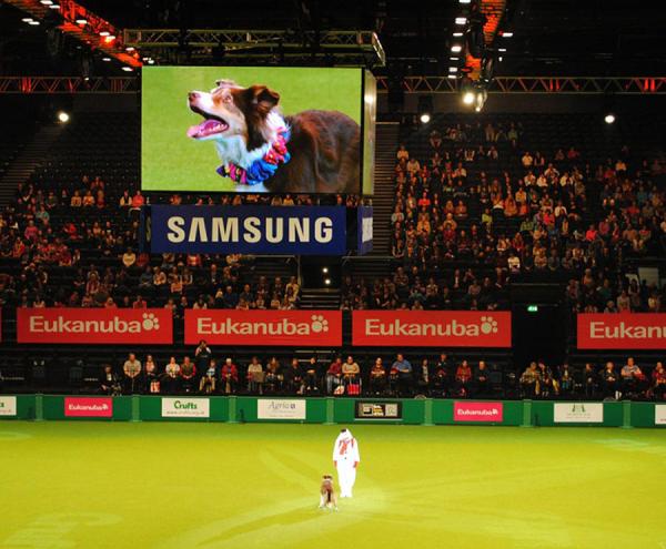 High Resolution LED Video Panel  Portable P4 Indoor Stadium Hanging LED Display