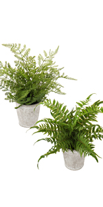 Spinulosa Fern Plants Bushes Fake Shrubs Greenery Plants Faux Fern Snakewood Outdoors UV Resistant Garden Plants