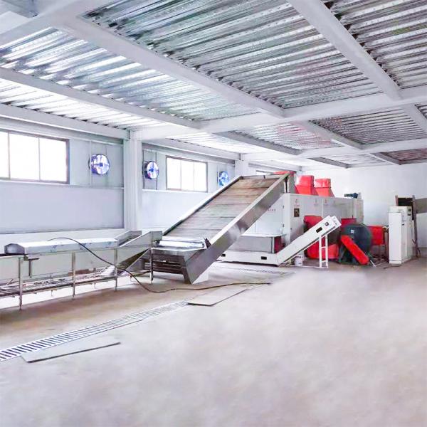 400 To 700kg/ H Citrus Mesh Belt Dryer Equipment Big Capability