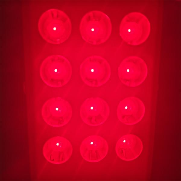 Handheld 660nm 850nm Red Light Therapy Face Body Panel Red Mini 60w