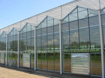 Flower Glass Multi Span Greenhouse XS - GL9600 / 12000 Venlo Large Green Houses