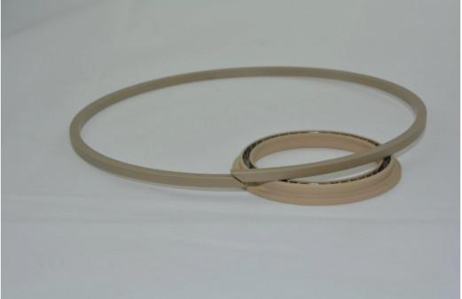 High Strength PEEK Machined Parts Peek Spring Mechanical Seal