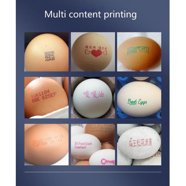 English Languages Smart Automatic Egg Inkjet Printer for Logo Bar Code and Expiry Date