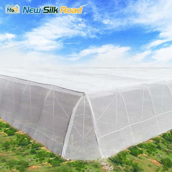 NSR Greenhouse Cheap HDPE Agricultural Net Greenhouse For Sale