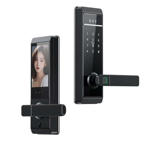 Qleung Tuya 顔認識 パームプリント 指紋 パスワード カードキー アンロック スマートホーム ドアロック