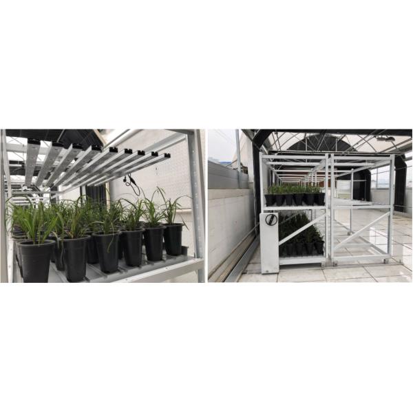 A estufa multinível galvanizada quente submete bancos de rolamento do 