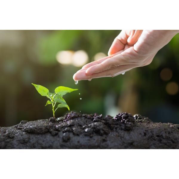 Fulvic Acid Humic Acid K2O 10% Potassium Fulvate Fertilizer Shiny Flake