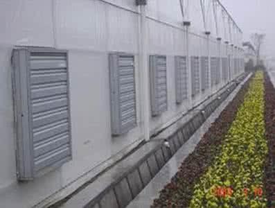 2025 Hot 1380mm Centrifugal Exhaust Fan for Greenhouse Poultry Electric Industrial with Push Pull ODM Customizable