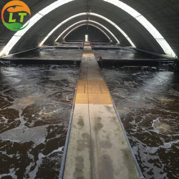 Customized Size Mushroom Growing System for Microgreens in High Tunnel Greenhouse