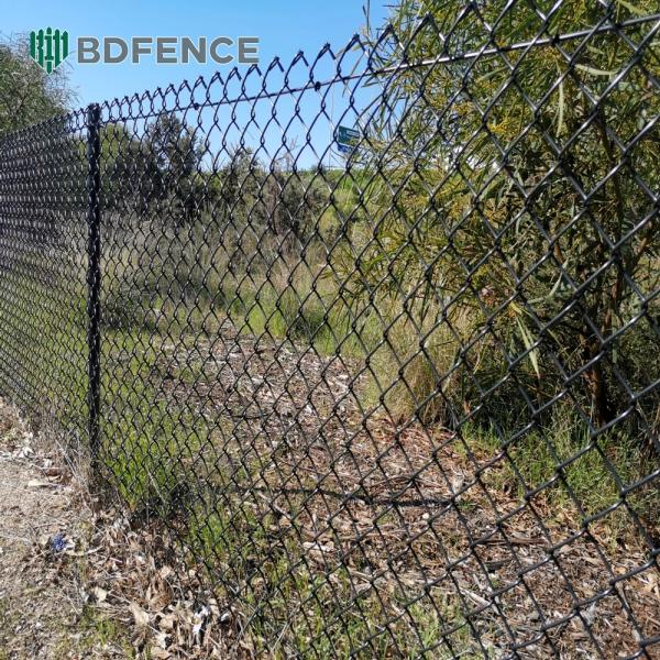 Village Road Chain Link  Fence Livestock