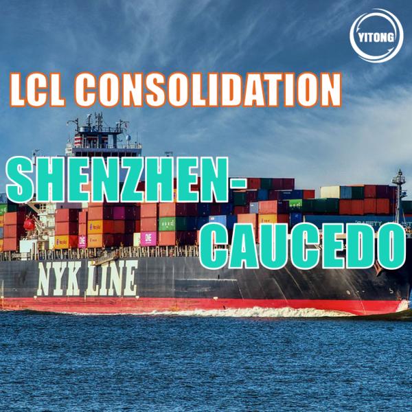 Глобальное обслуживание доставки перевозки LCL от Шэньчжэня к Caucedo каждый Tue