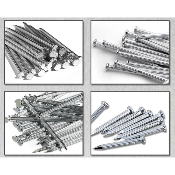 11.00mm Flat Head Carbon Steel Common Round Iron Wire Nails for Construction Projects