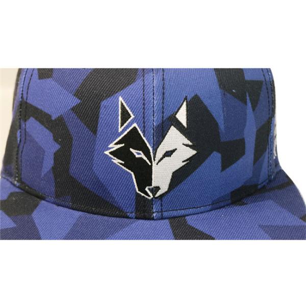 Вышивки шляп Снапбак брим женщин/людей печать Дегитал крышки печати плоской животная Силк