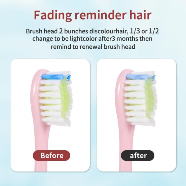 15 Modes Sonic Travel Electric Toothbrush With 2 Minutes Timing ODM
