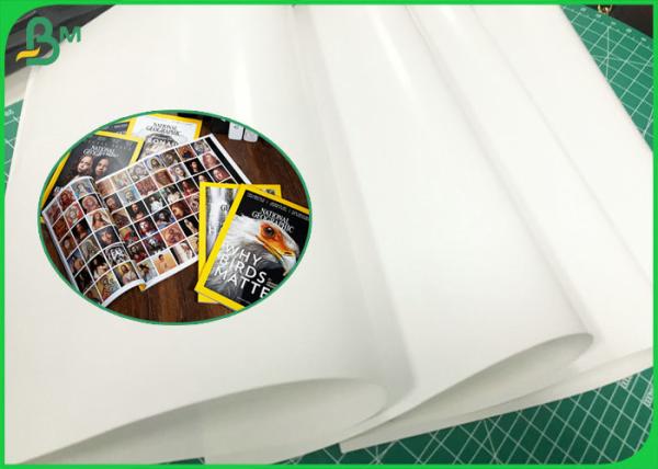 C2S Coated Art Paper Matt 150g 170g 180g High Glossy Label Paper Coils