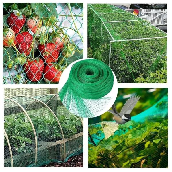 factory price pe farm plastic nets garden orchard anti bird net
