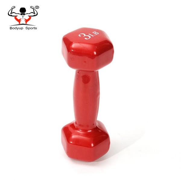 Vinyl Dipping Fitness Equipment Dumbbells With Hexagon Ends 0.5kg-10kg Weight