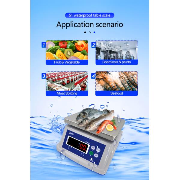 Battery 6V/5Ah 30KG Waterproof Scale with Double Layer Structure and Precision Sensor