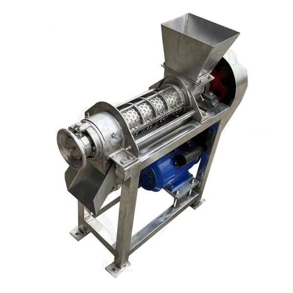 Cider Apple Grapes Pear Fruit Press Fruit Crushing et extracteur de jus de légumes Machine extracteur de viande de noix de coco