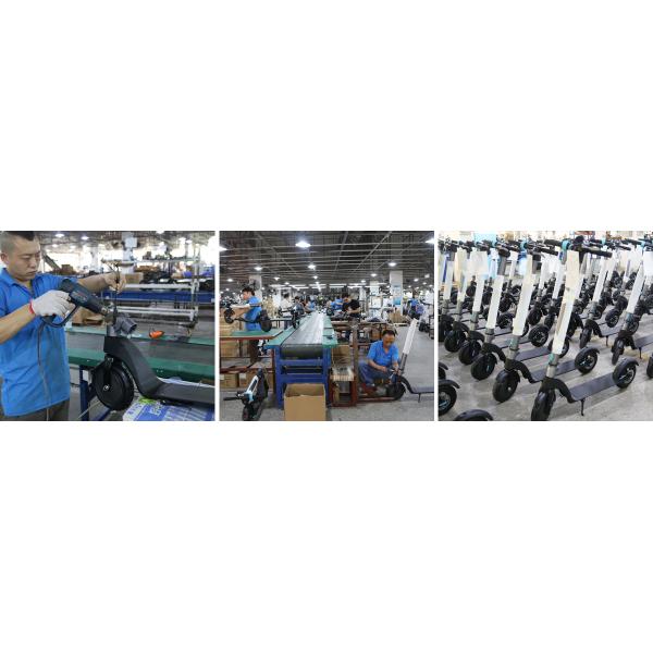 36V 250W Two Wheel Drive Electric Scooter 10 Inch Foldable Adult Electric Scooter