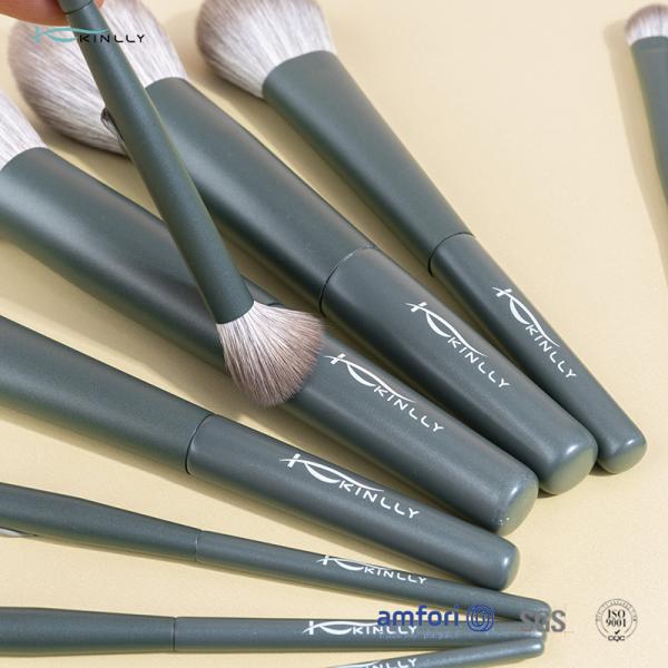 Набор щетки 10pcs алюминиевого Ferrule волос BSCI нейлона косметический