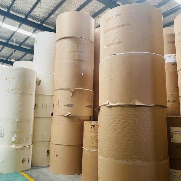 Virgin Wood Pulp PE Coated Paper Roll for Waterproof and Greaseproof Packaging