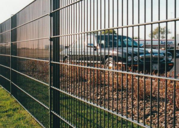 Double Wire Fence Twin Rod Steel Mesh Fencing for Perimeter System 2*2.5m