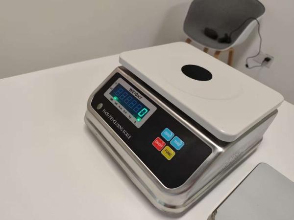 Watertight Wash Down Waterproof Weighing Scale Stainless Steel D6 Series