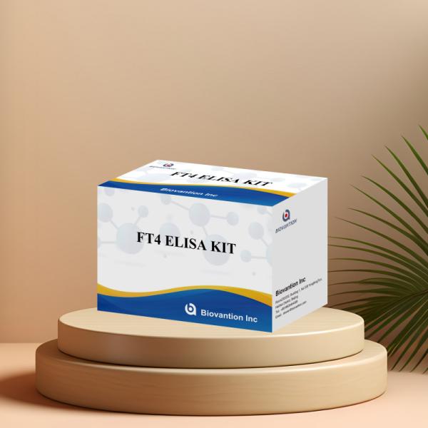 FT4 Medical Diagnosis Enzyme-Linked Immunosorbent Assay Test Kit With High Specificity
