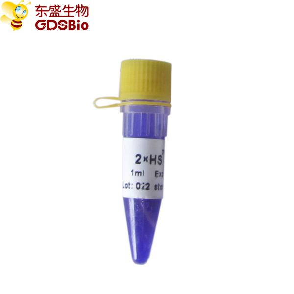 HS QPCR Mastermix P2081 1ml High Reproducibility