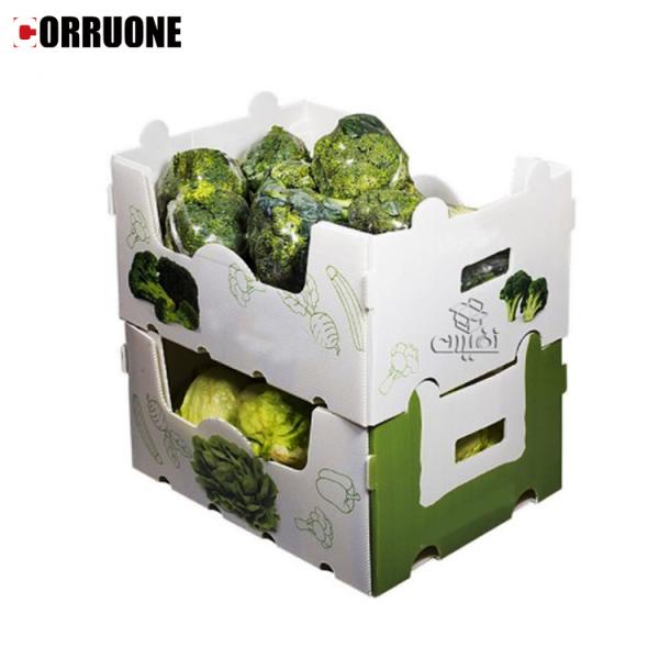 Коробка сота ящиков для хранения Корфлейт брокколи рифленая для плодов