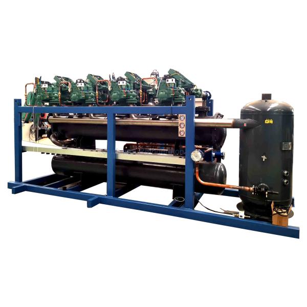 Single-Stage Parallel Unit Multi-Compressor Rack For Cold Storage With Customized Programming