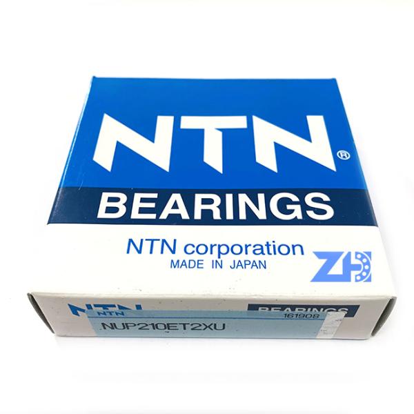 NUP210ET2XU 50x90x20 Mm Single Row Cylindrical Roller Bearing Plastic Cage