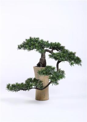 O bonsai artificial interior planta a simulação alta da sensação tropical sutil