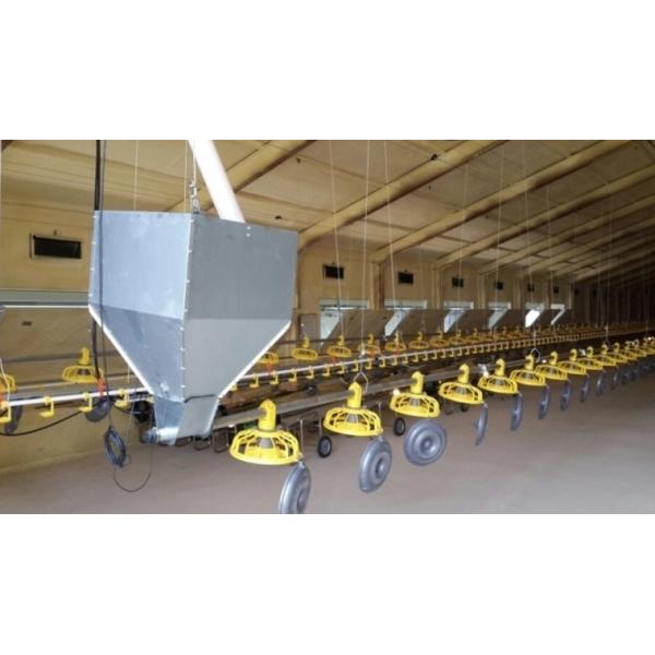 Broiler House Feeding Line System Auto Poultry Feeder Drinker
