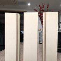 Ligne de production d'anodisation automatique en aluminium