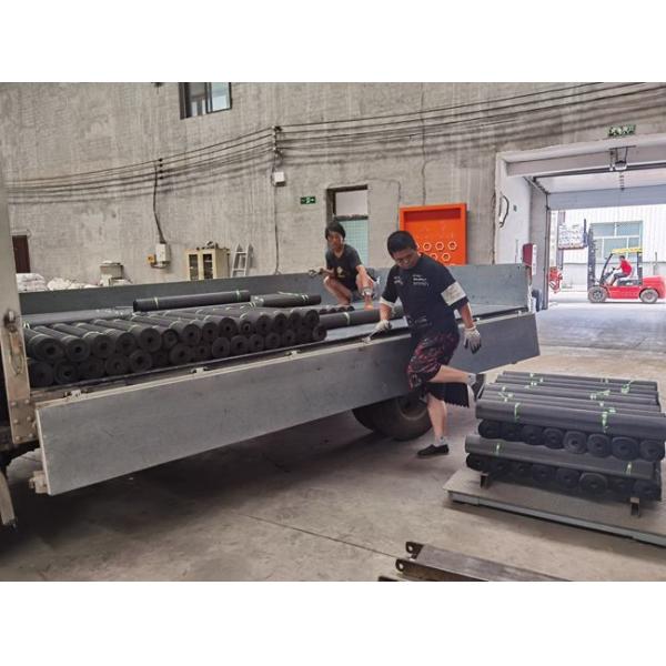 High Tensile Plain Steel Wire Mesh Black Wire Cloth 12-60mesh