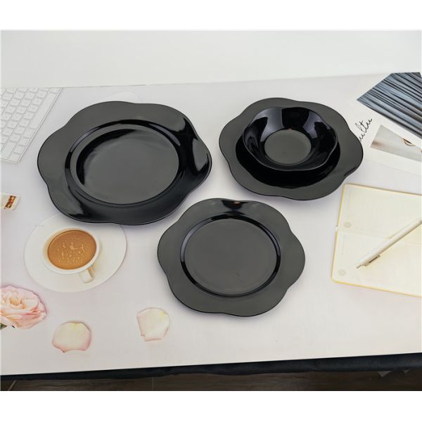 porcelain color glazing  dinner set
