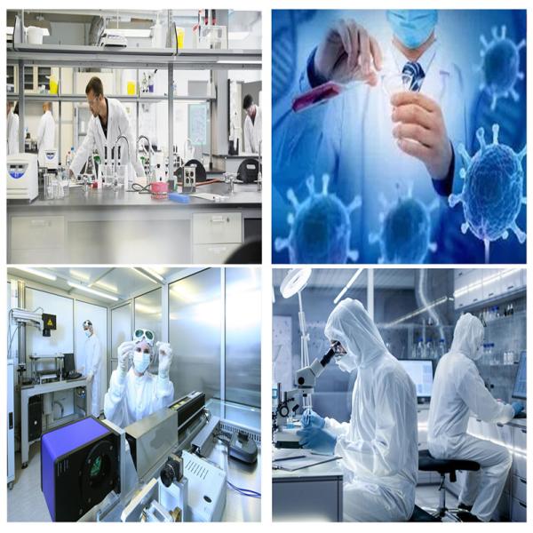 Установленной трейлер кораблем комнаты PCR чистой/комнаты черни одноместной кабины чистой