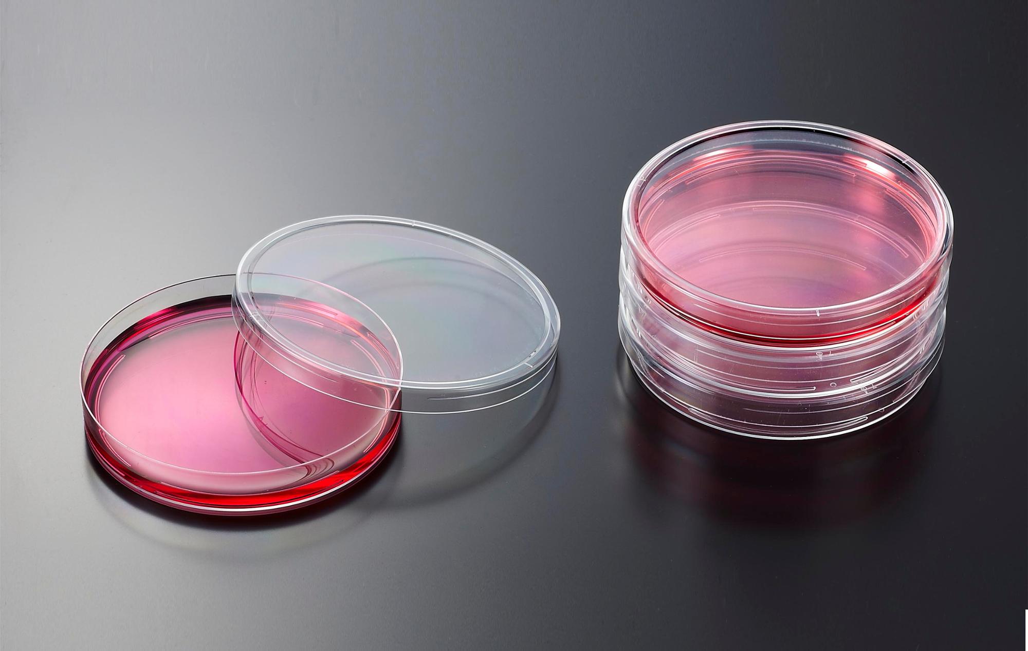 Sterilized 90x15mm Disposable Plastic Petri Dish Low Price Cell Culture Dish for Lab Medical Use