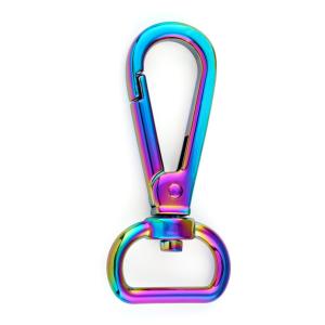 Alloy Fashion 20mm Rainbow Designer D Snap Hook for Customized Handbag
