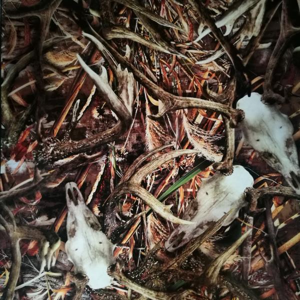 PVA Camo Water Transfer Film 32um for Inkjet Printer